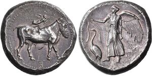 2566 - Catana (tetradrachm).jpg