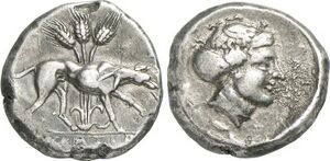 SO 135 - Eryx (didrachm).jpg