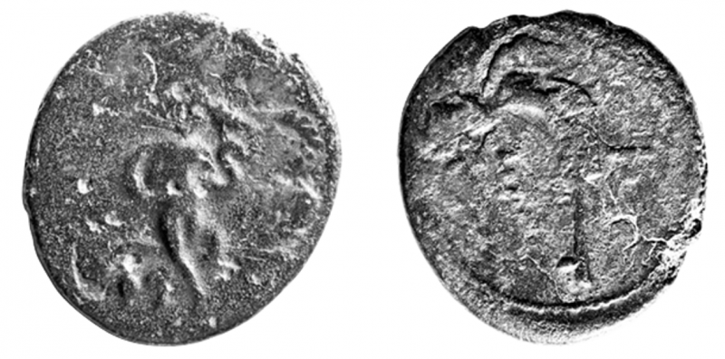 File:24841 - Etenna (AE nymph-knife).png