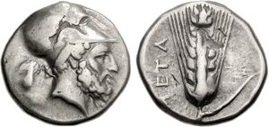 SO 1261 - Metapontum over uncertain mint.jpg