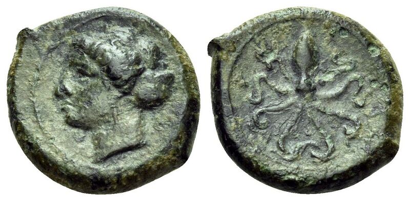 File:Syracuse Arethusa octopus.jpg