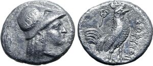 S1904 Sophytes diobol Athena.jpg