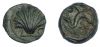 S 1675 - Arse, bronze, eights (195-130 BCE).jpg