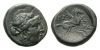 Thessalonica Dionysos Pegasus Roma Numismatics 336.jpg