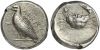 S 1495 - Agrigentum, silver, didrachms (450-440 BCE).jpg