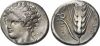 RQMAC 7 - Metapontum, silver, stater, 340-330 BC.jpg