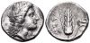 RQEMH 5 - Metapontum, silver, stater, 330-280 BC.jpg