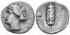 RQMAC 6 - Metapontum, silver, stater, 400-350 BC.jpg