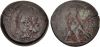 Alexandria Ptolemy V Classical Numismatic Group, Keystone 8, 23 Aug. 2022, 45.jpg