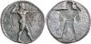 S 303 - Poseidonia, silver, staters (530-490 BCE).jpg